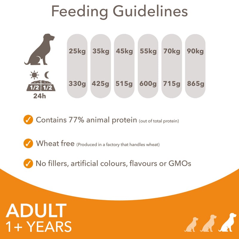 IAMS dry dog food large breed chicken 2kg - British product