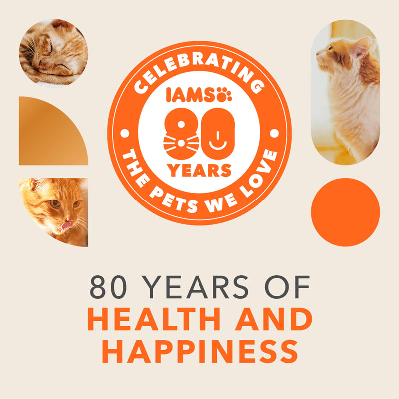 IAMS Vitality Dry Kitten Food Fresh Chicken 2kg, UK version