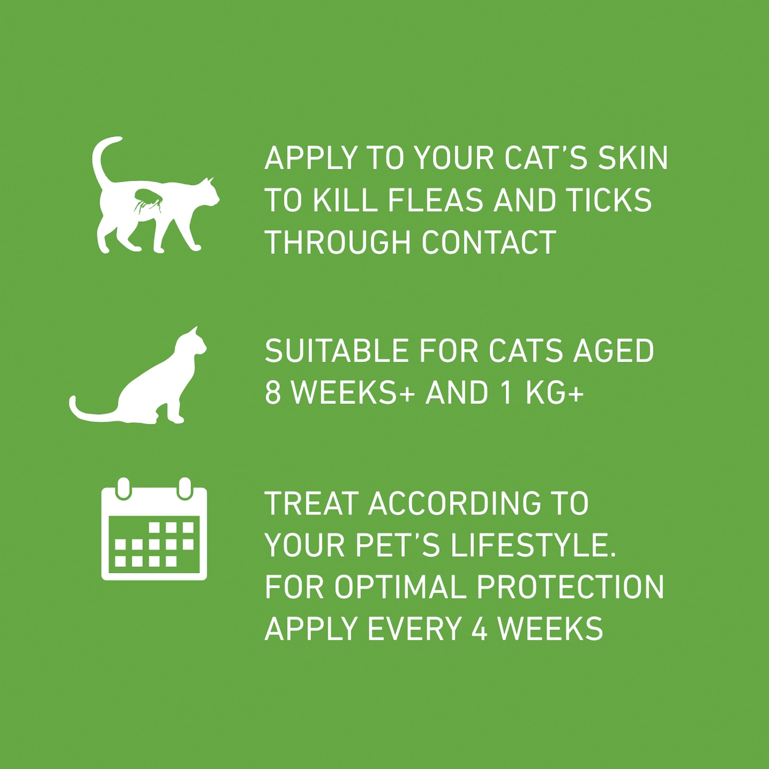 Frontline Plus cat flea treatment 3 doses (British brand)