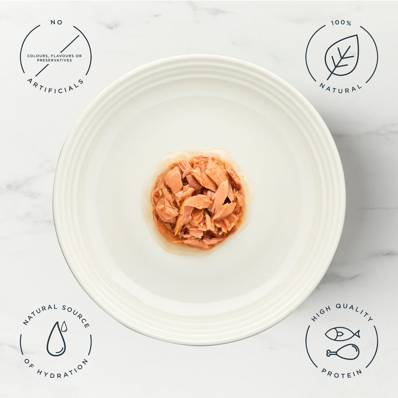 Encore fish selection in gravy cat food 5x50g, UK version