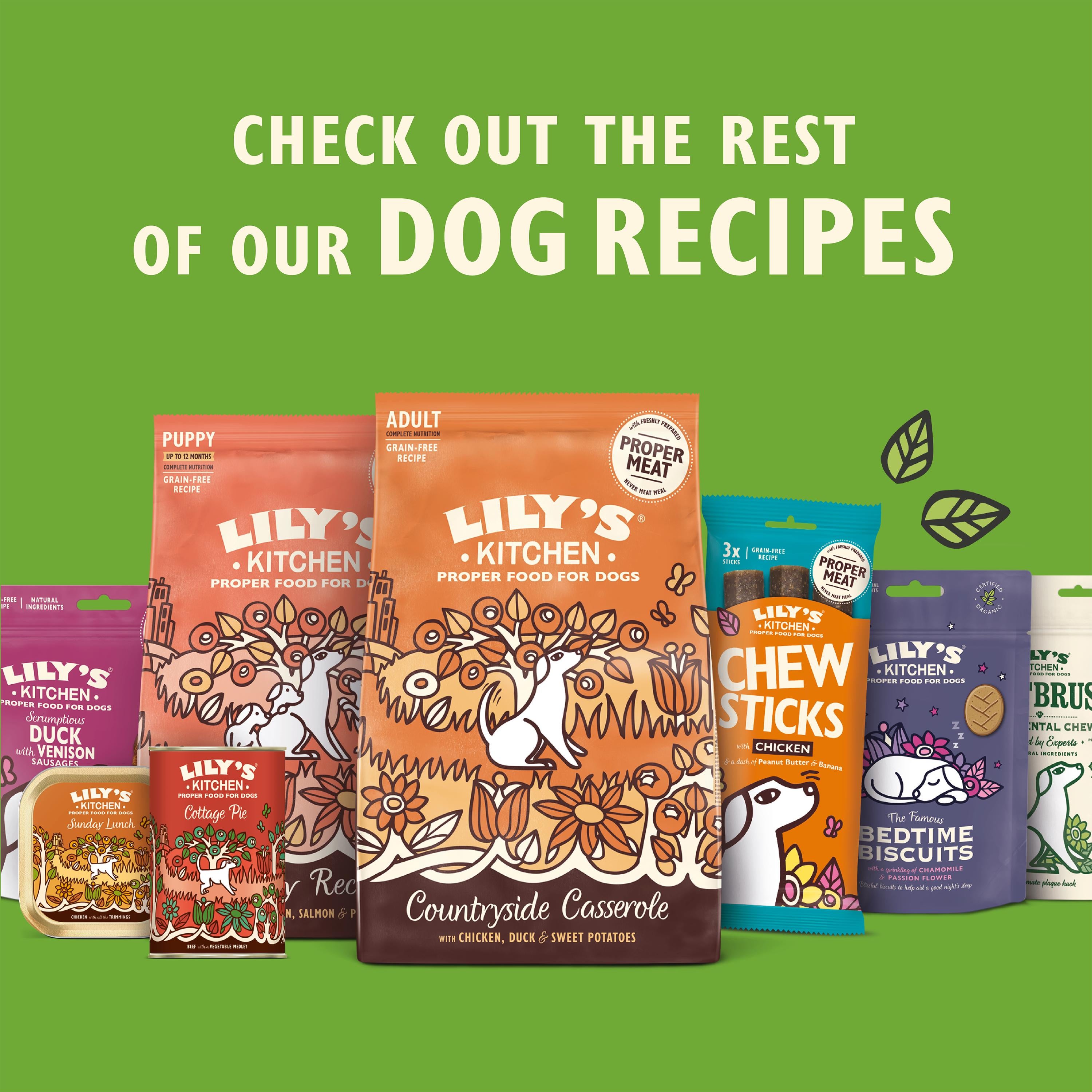 Lily's Kitchen wet dog food Organic Chicken Supper 150g - British product