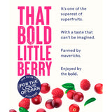 Ocean Spray cranberry raspberry juice drink 1L - British product