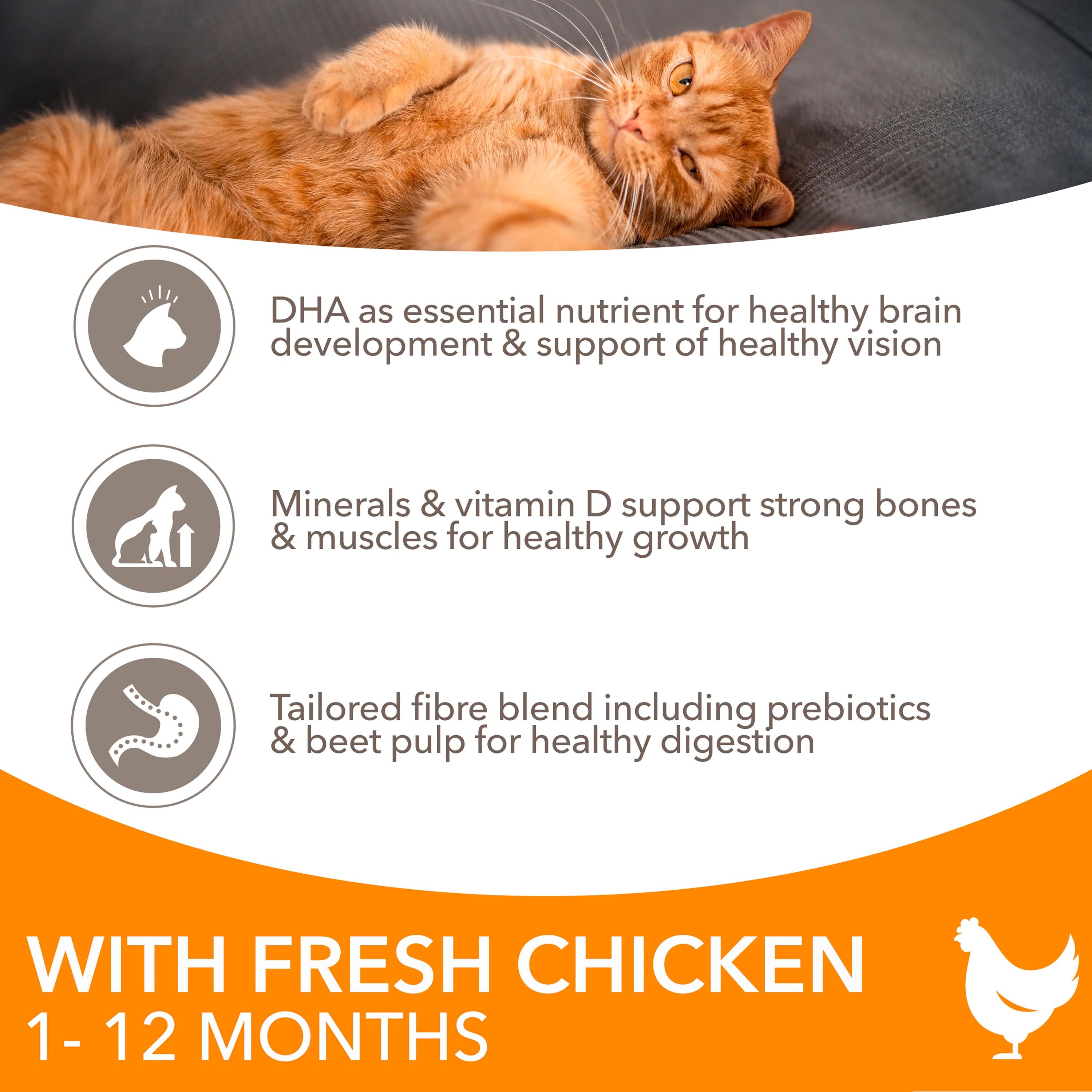 IAMS kitten dry cat food fresh chicken 800g, UK version