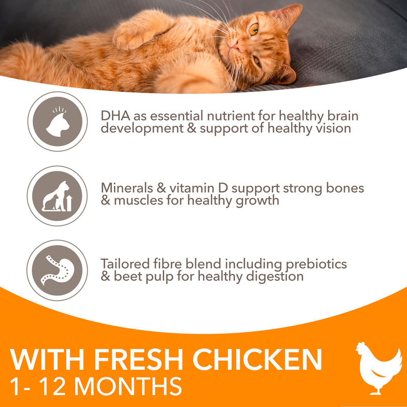 IAMS kitten dry cat food fresh chicken 800g, UK version