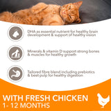 IAMS kitten dry cat food fresh chicken 800g, UK version