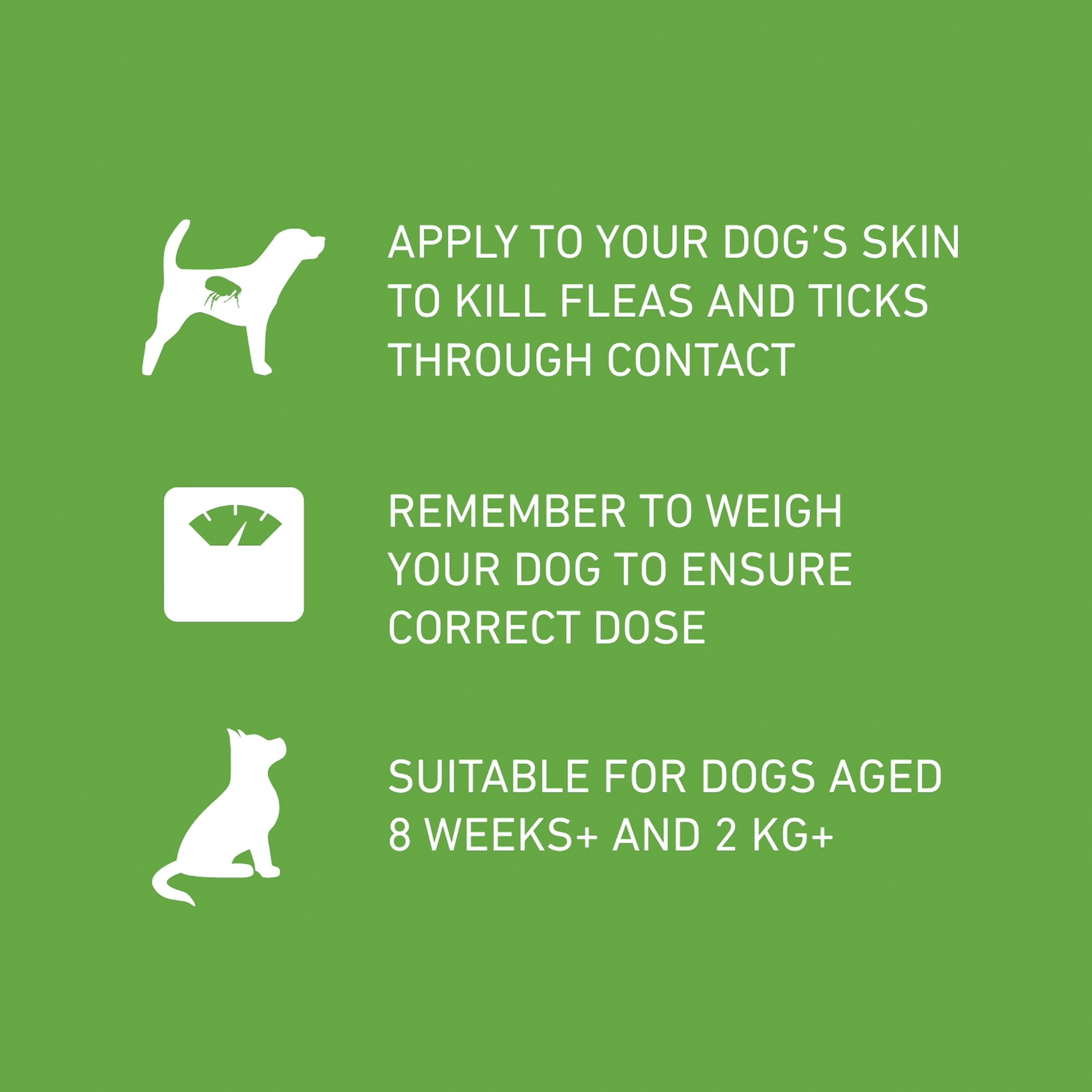 Frontline Plus flea and tick spot-on for dogs 10-20kg 1.34ml - British product