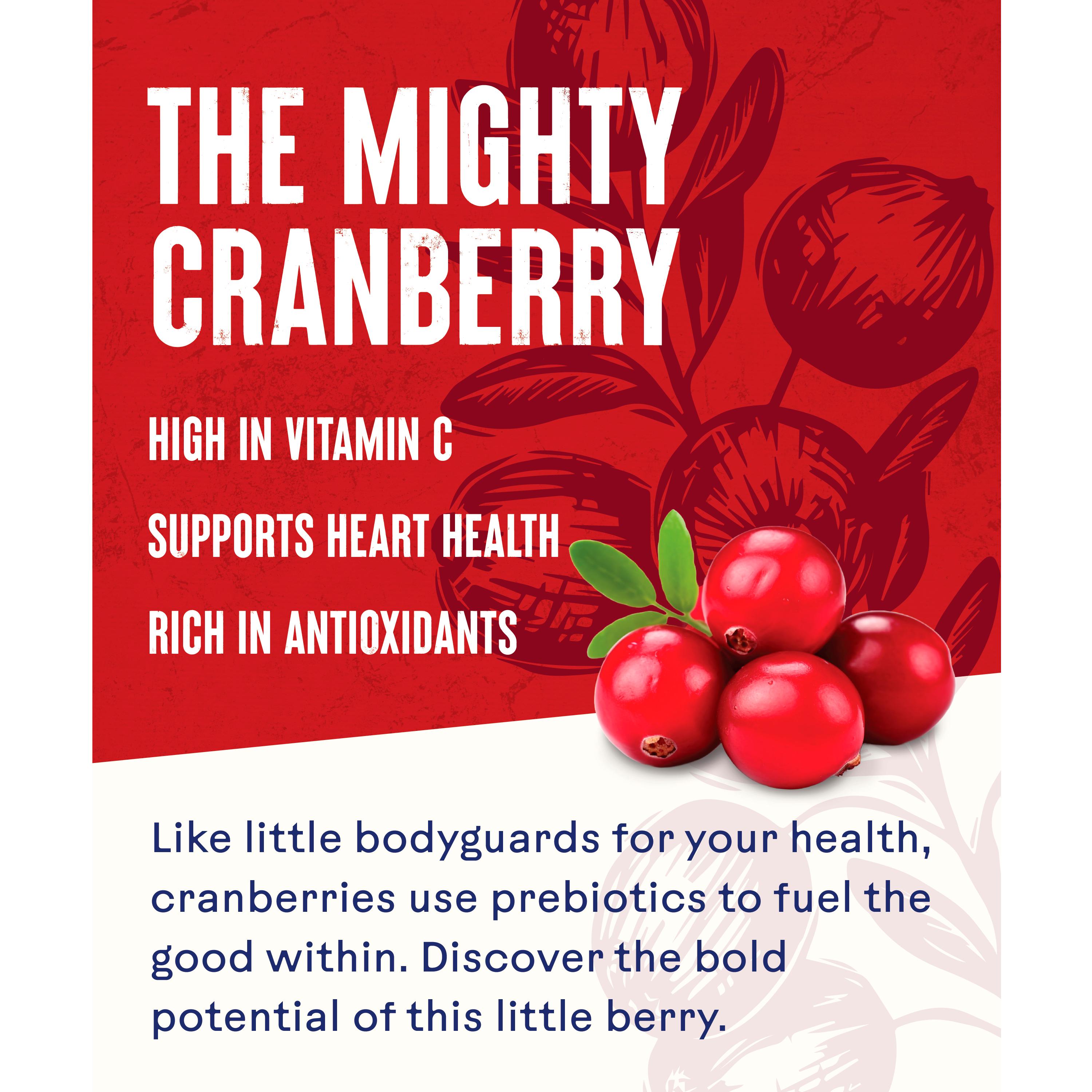 Ocean Spray Cranberry Juice 1L (British brand)