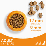 IAMS dry dog food large breed chicken 2kg - British product