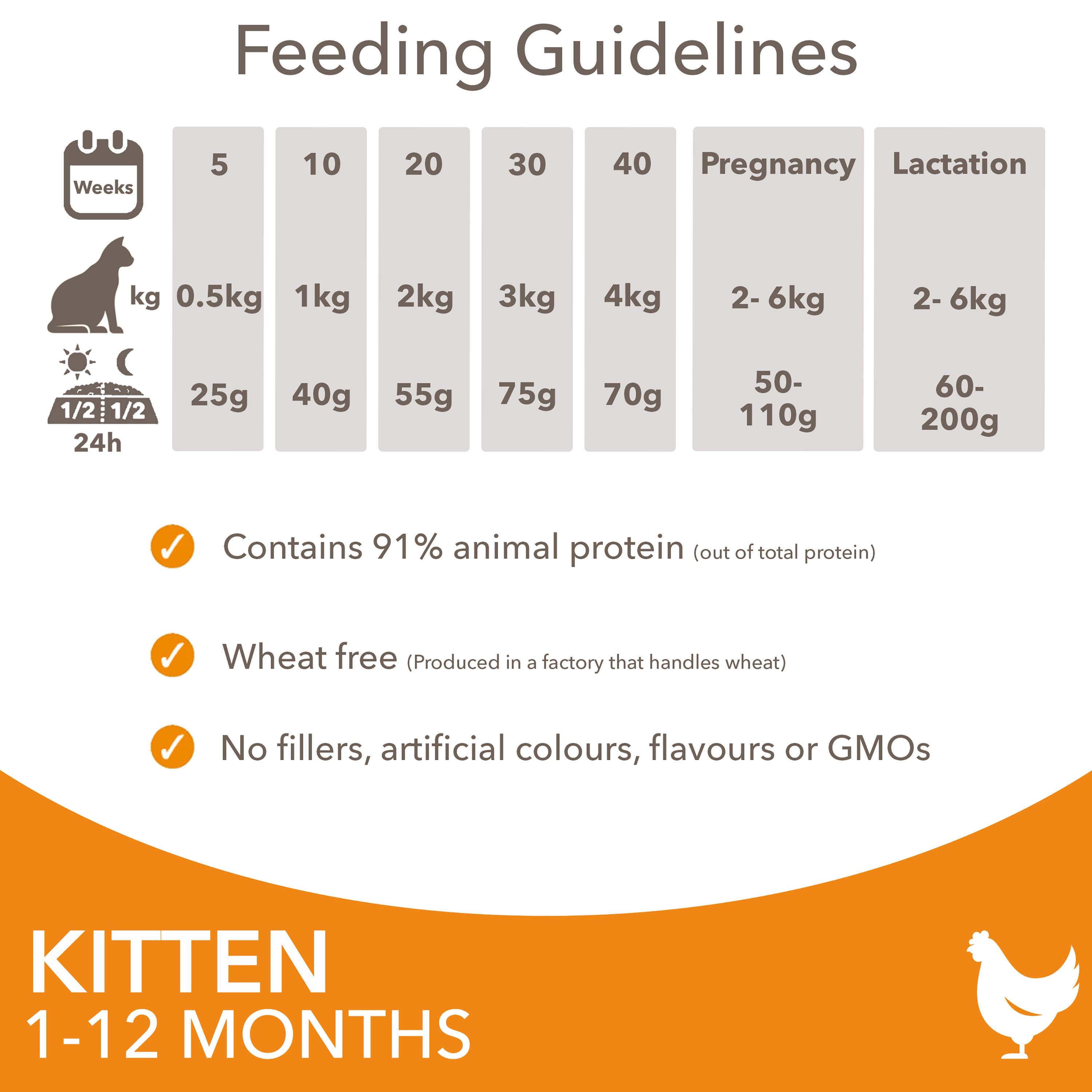 IAMS kitten dry cat food fresh chicken 800g, UK version