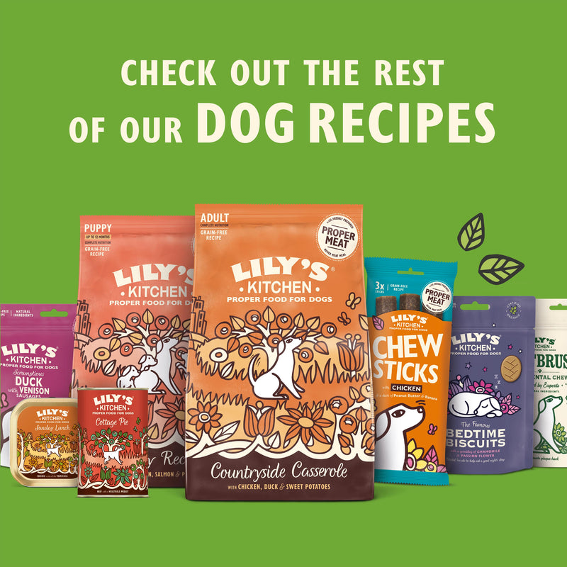 Lily's Kitchen dog treats Chomp-Away Chicken Bites 70g (British brand)
