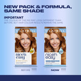 Clairol Nice'N Easy Dark Beige Blonde - British product