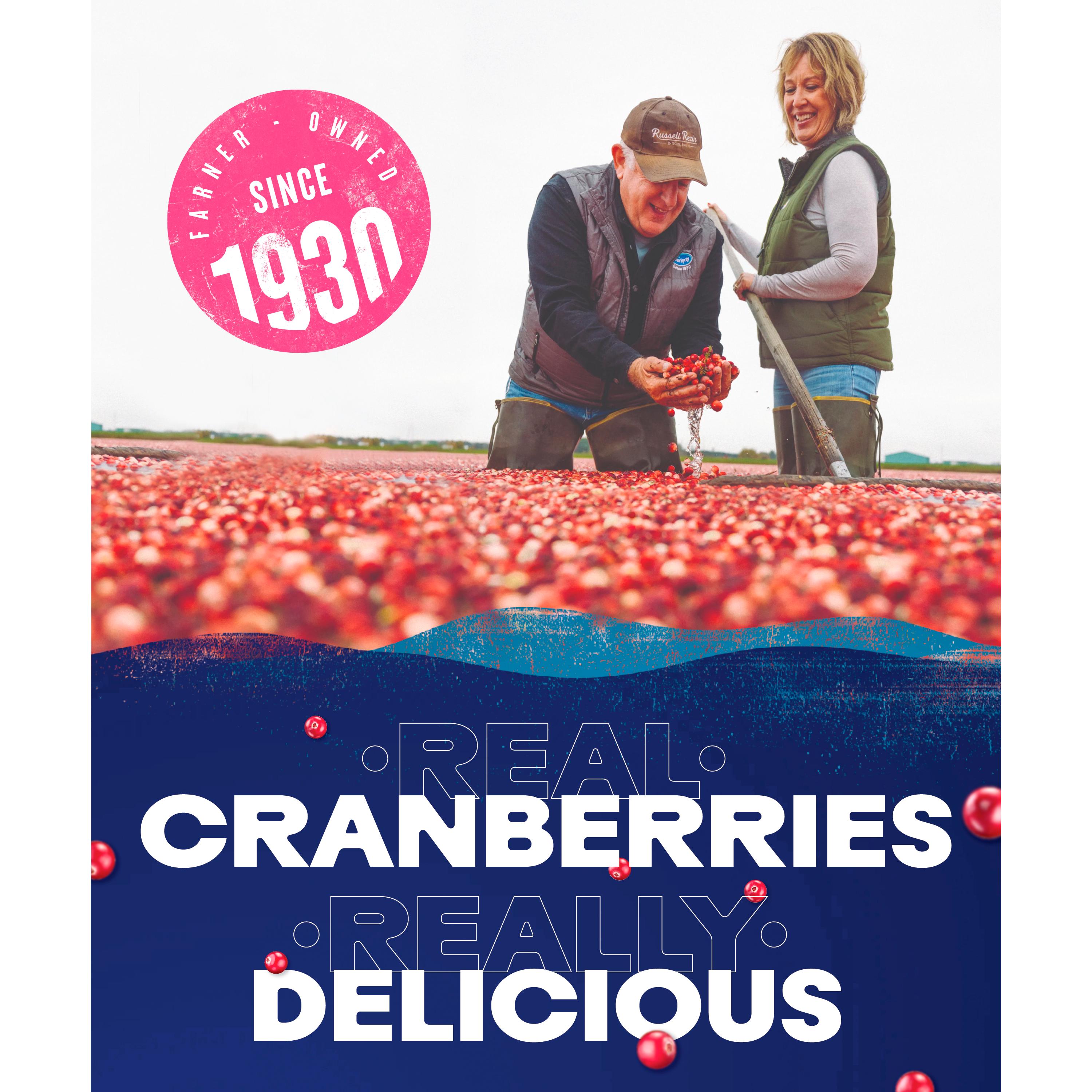 Ocean Spray cranberry raspberry juice drink 1L - British product