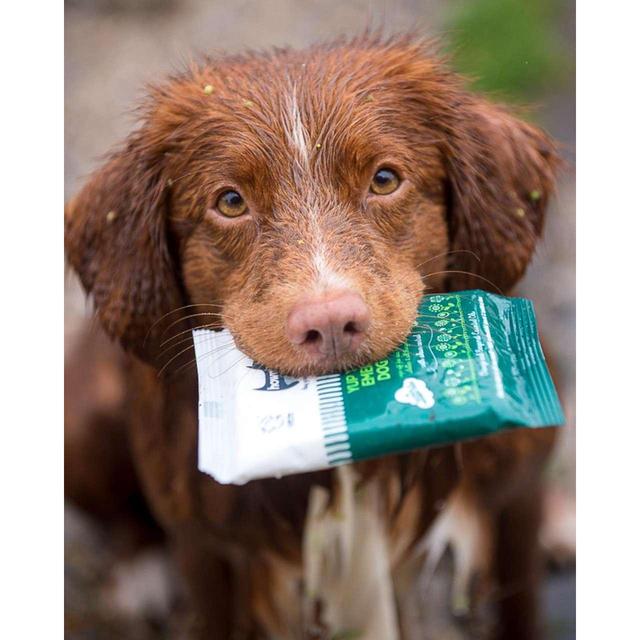 Hownd Yup You Stink! Emergency Dog Wipes   7 per pack GOODS M&S   