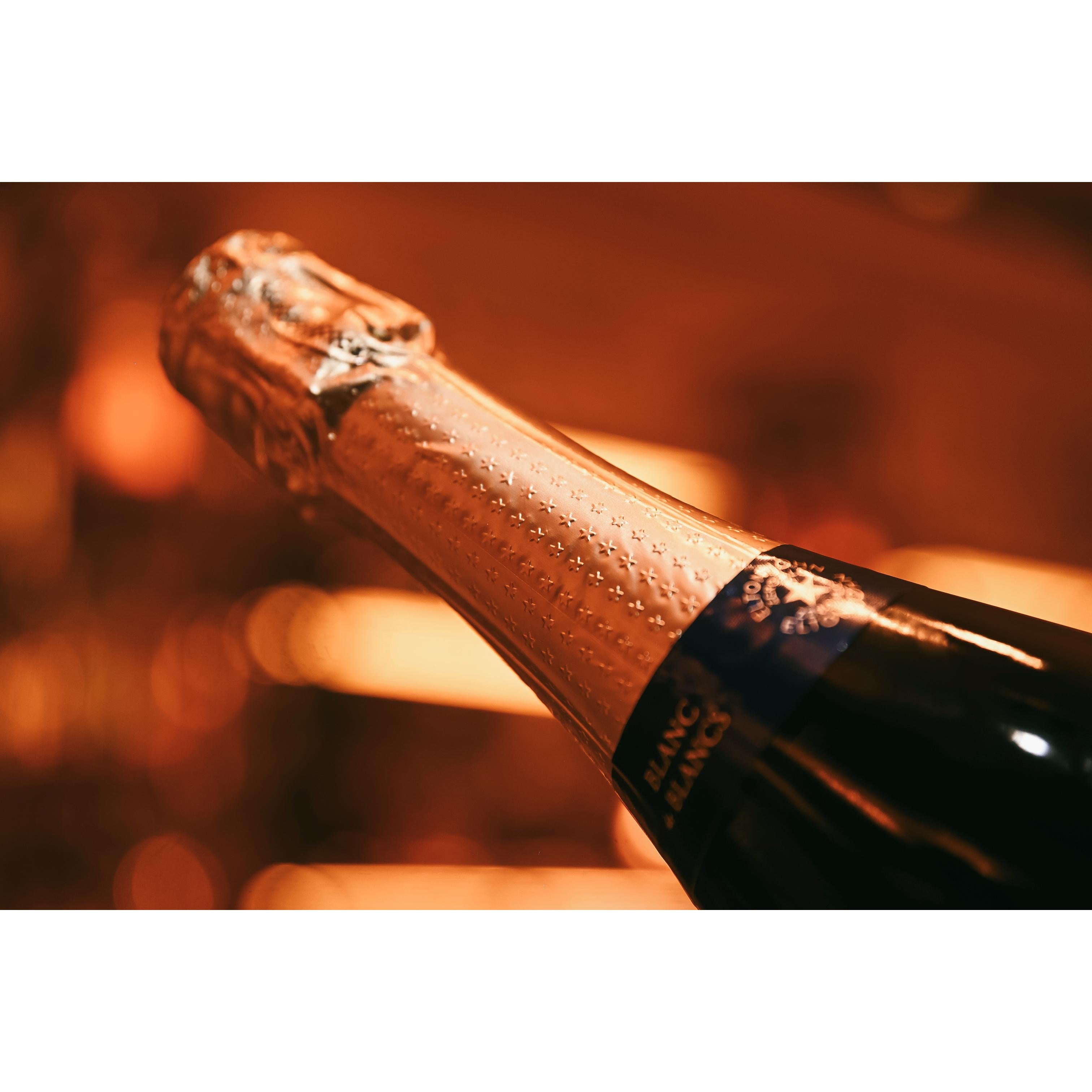 Elton John Zero Blanc de Blancs alcohol free sparkling wine 75cl - British product