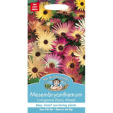 Mr Fothergills Mesembryanthemum Livingstone Daisy Seeds GOODS M&S   