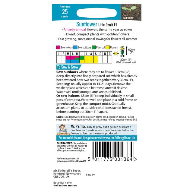 Mr Fothergills Sunflower Little Dorrit F1 Seeds GOODS M&S   