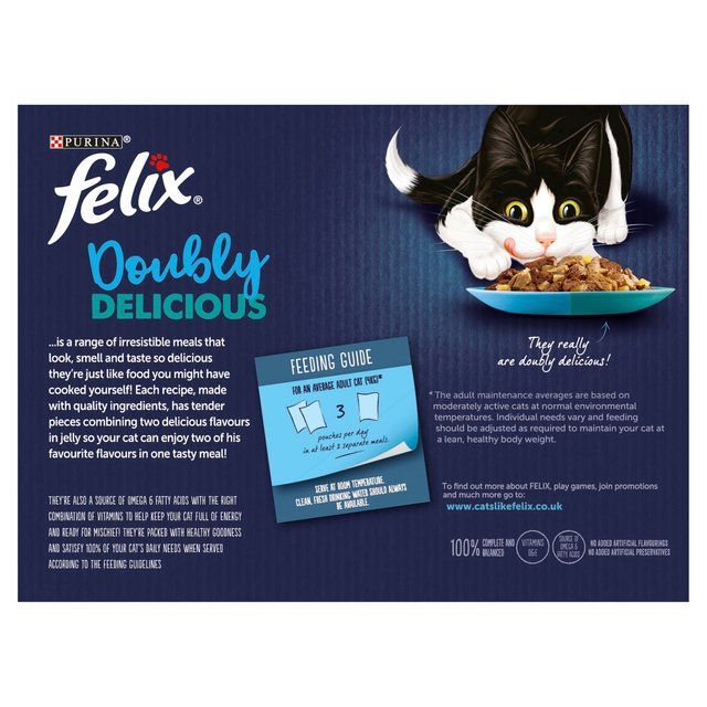 Felix Doubly Delicious Ocean Recipes Wet Cat Food    12 x 100g