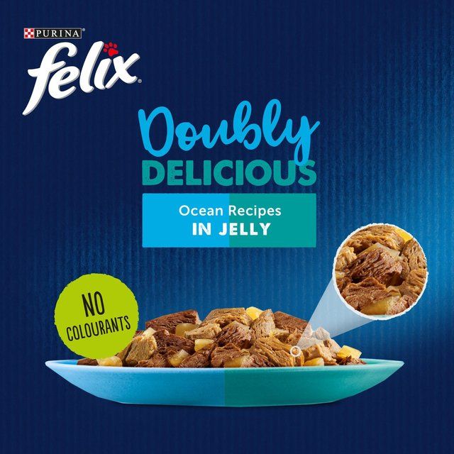 Felix Doubly Delicious Ocean Recipes Wet Cat Food    12 x 100g GOODS M&S   