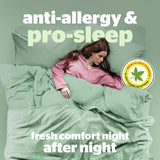 Silentnight anti-allergy pillow 2-pack, UK version