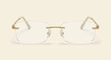 Cartier Panthère rectangle-frame metal optical glasses CT0494O - British product