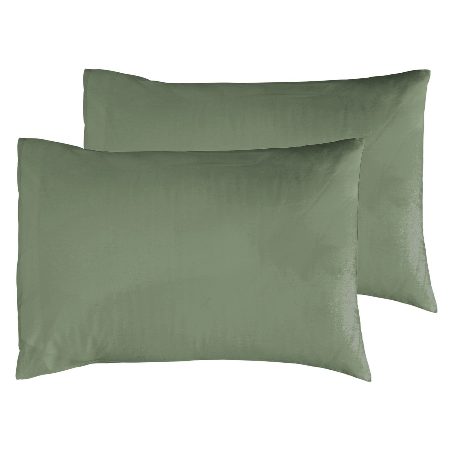 Habitat Cotton Rich 180 TC Standard Pillowcases 2 Pack-Green