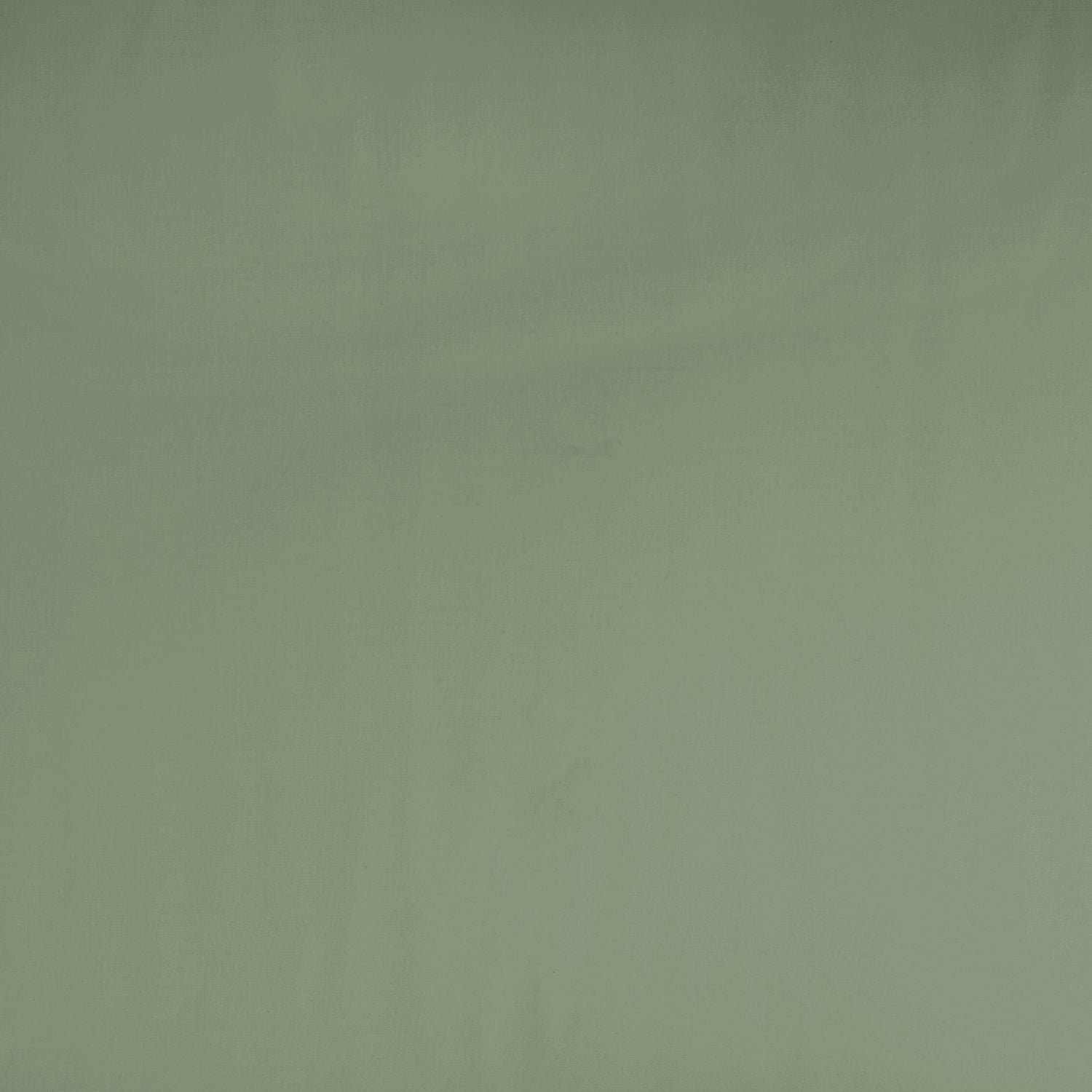 Habitat Cotton Rich 180 TC Standard Pillowcases 2 Pack-Green