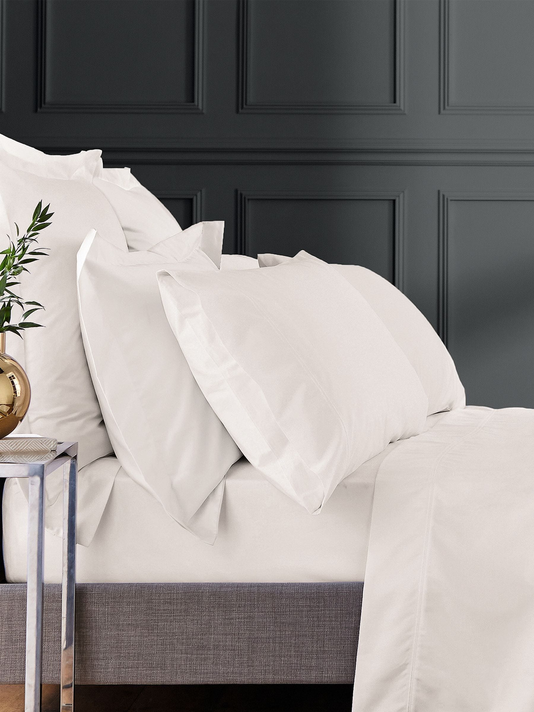 Bedeck Of Belfast cream Egyptian cotton sateen square pillowcase 1000tc, UK version