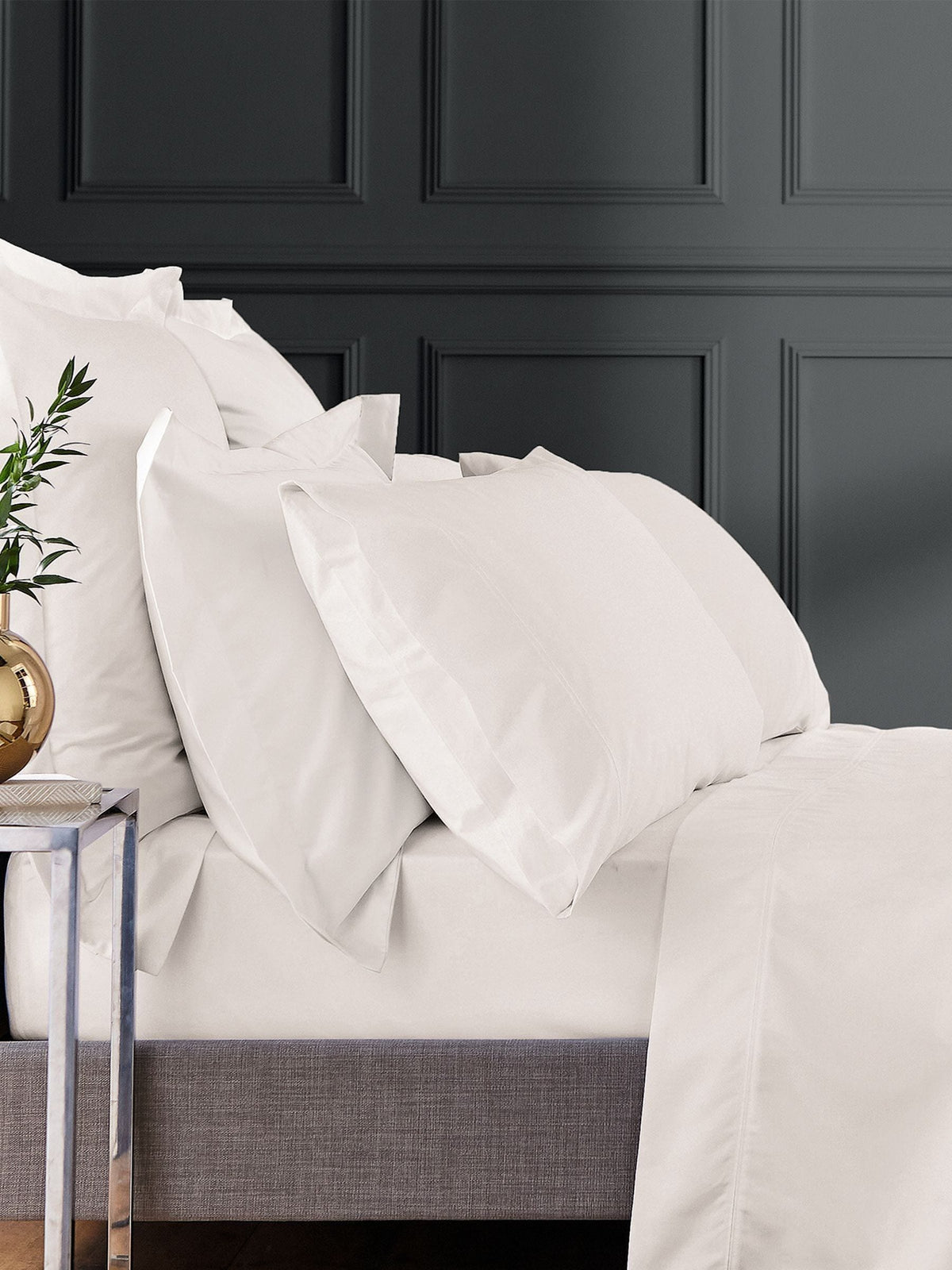Bedeck Of Belfast cream Egyptian cotton sateen square pillowcase 1000tc, UK version
