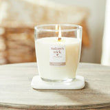 Nature's Wick Cashmere Wool soy wax candle, UK version