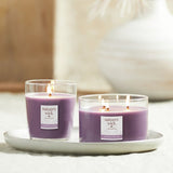 Nature's Wick lavender and oat milk candle (British brand)