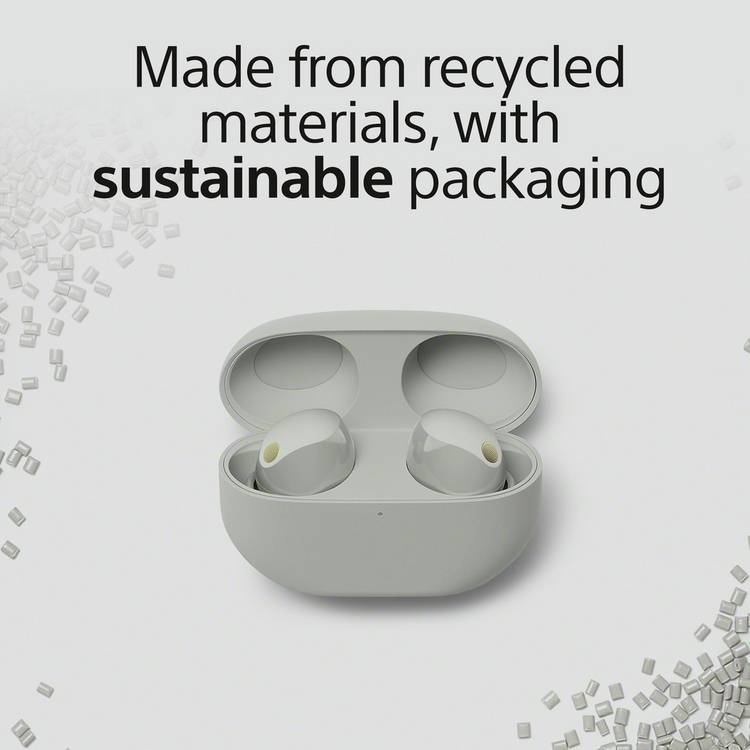 Sony WF1000XM5 true wireless earbuds ANC silver, UK version