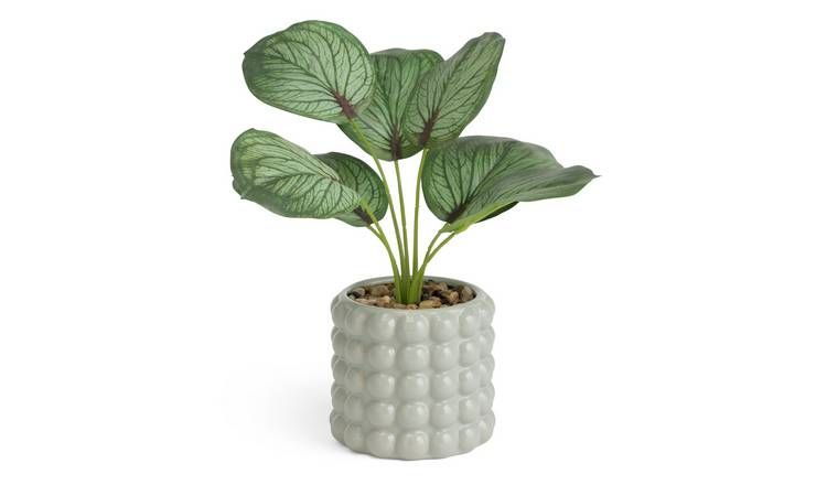 Habitat Artificial Calathea in Ceramic Bobble Pot -Grey GOODS Argos