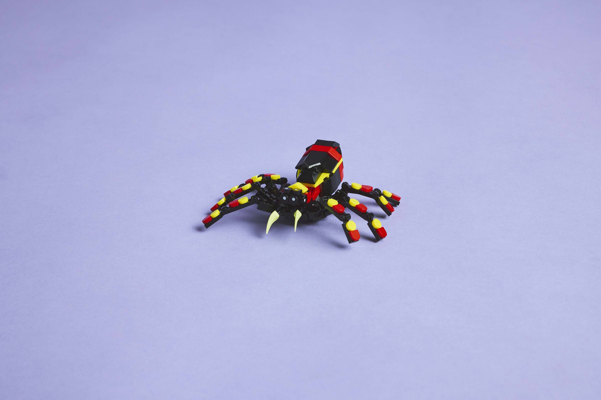 LEGO Creator Wild Animal Spider 3in1 153 Pieces (British brand)