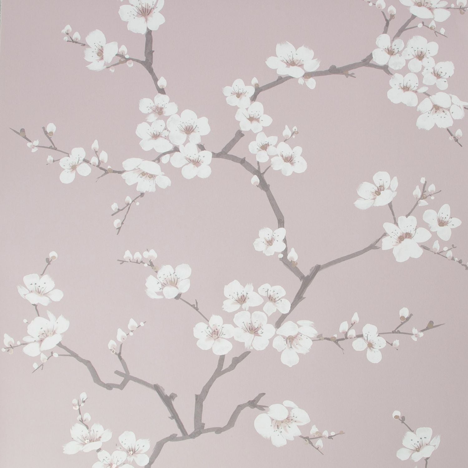 Fresco Apple Blossom Pink wallpaper, imported from the UK