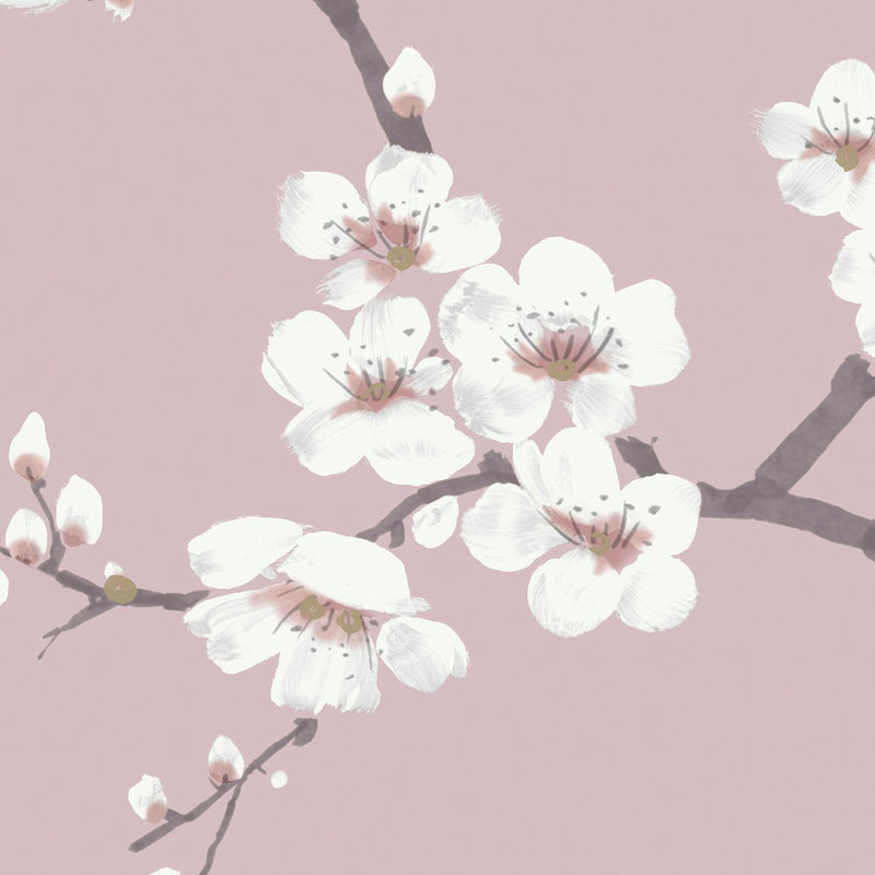 Fresco Apple Blossom Pink wallpaper, imported from the UK