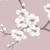 Fresco Apple Blossom Pink wallpaper, imported from the UK