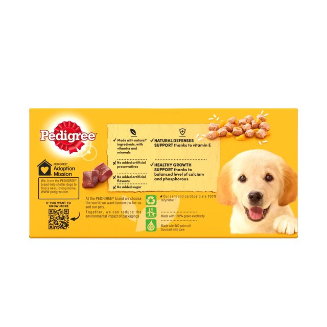 Pedigree Puppy Wet Dog Food Tins Mixed in Jelly    6 x 400g