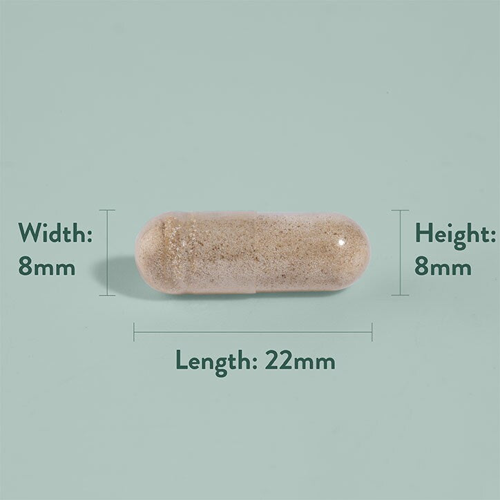 Holland & Barrett Fenegriek 610mg - McGrocer