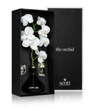 Senti Orchid Amber and Oud reed diffuser 250ml (British brand)