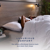 Snuggledown Clusterdown synthetic pillows 4-pack, imported from the UK