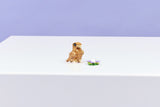 LEGO Creator 3 in 1 Cute Hamster with a Flower building set - British product