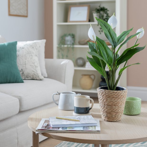 Habitat artificial white peace lily plant 51cm - British product