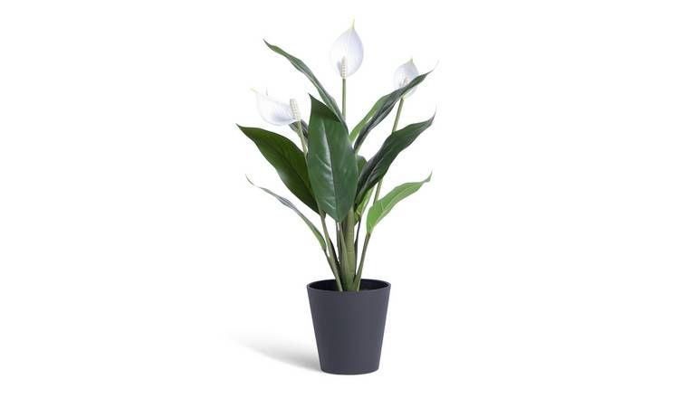 Habitat Large Artificial Peace Lily Plant - White GOODS Argos