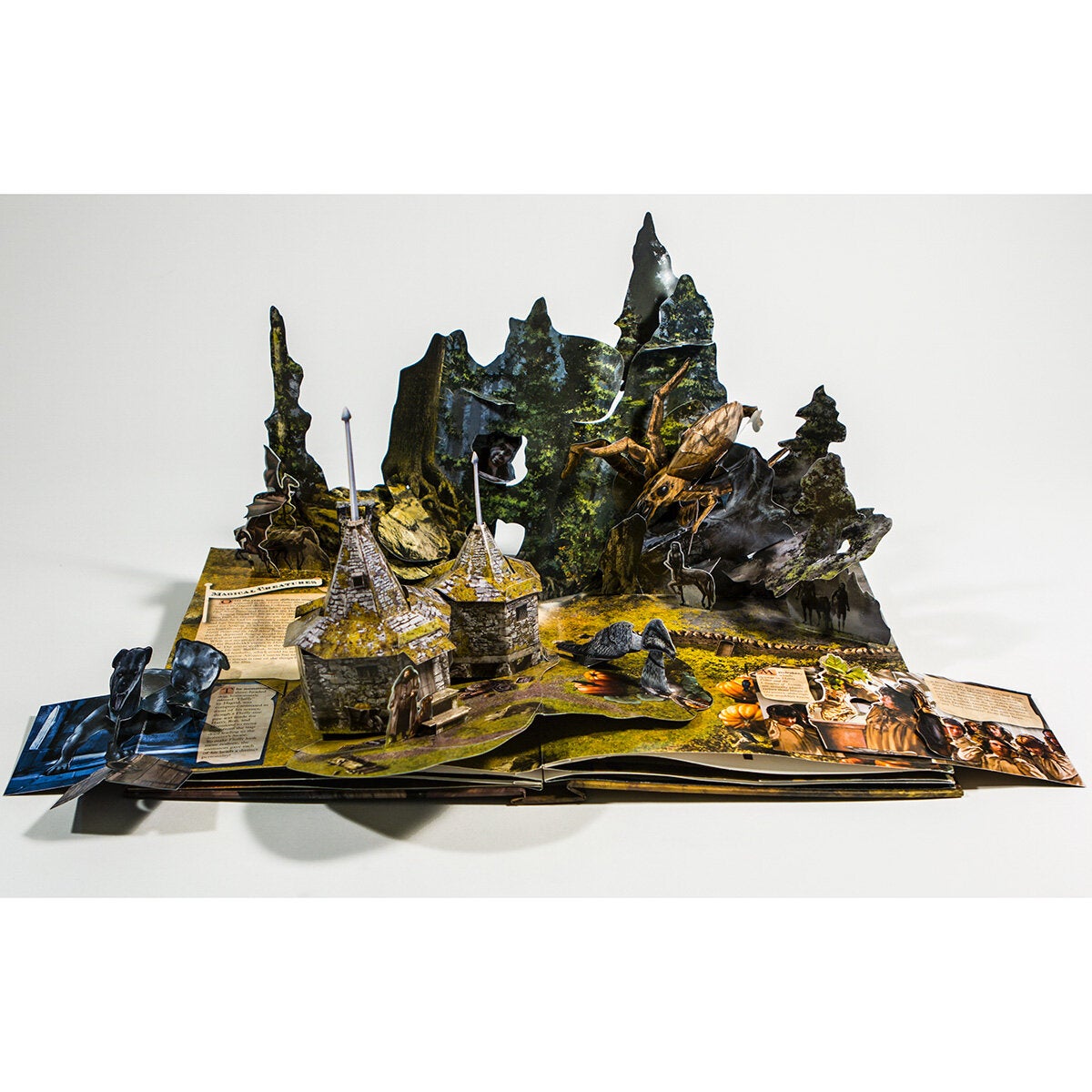 Harry Potter pop-up book deluxe edition (British brand)