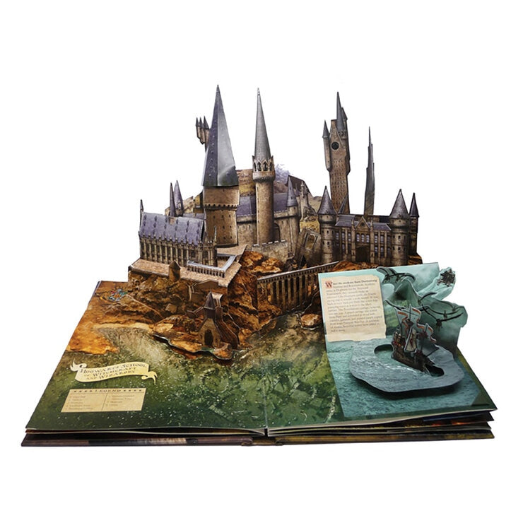 Disney Princess Harry Potter pop-up book - British product