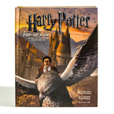 Disney Princess Harry Potter pop-up book - British product
