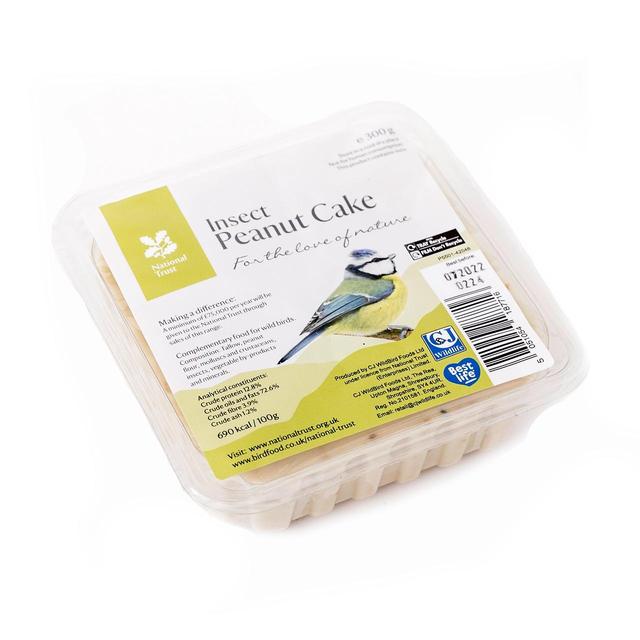 National Trust CJ Wildlife Insect Peanut Cake   300g