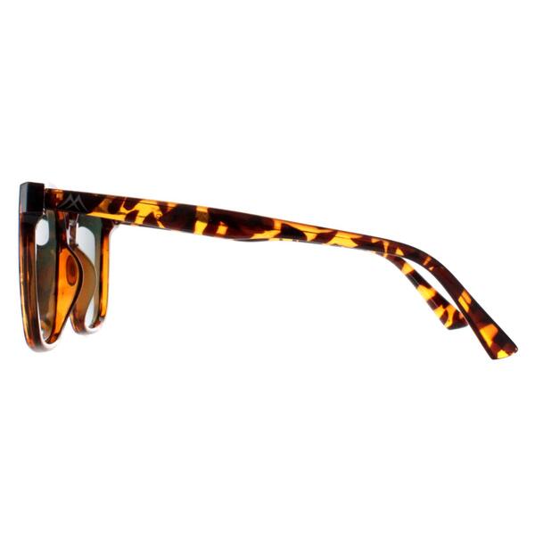 Montana MP67 brown polarised sunglasses, imported from the UK
