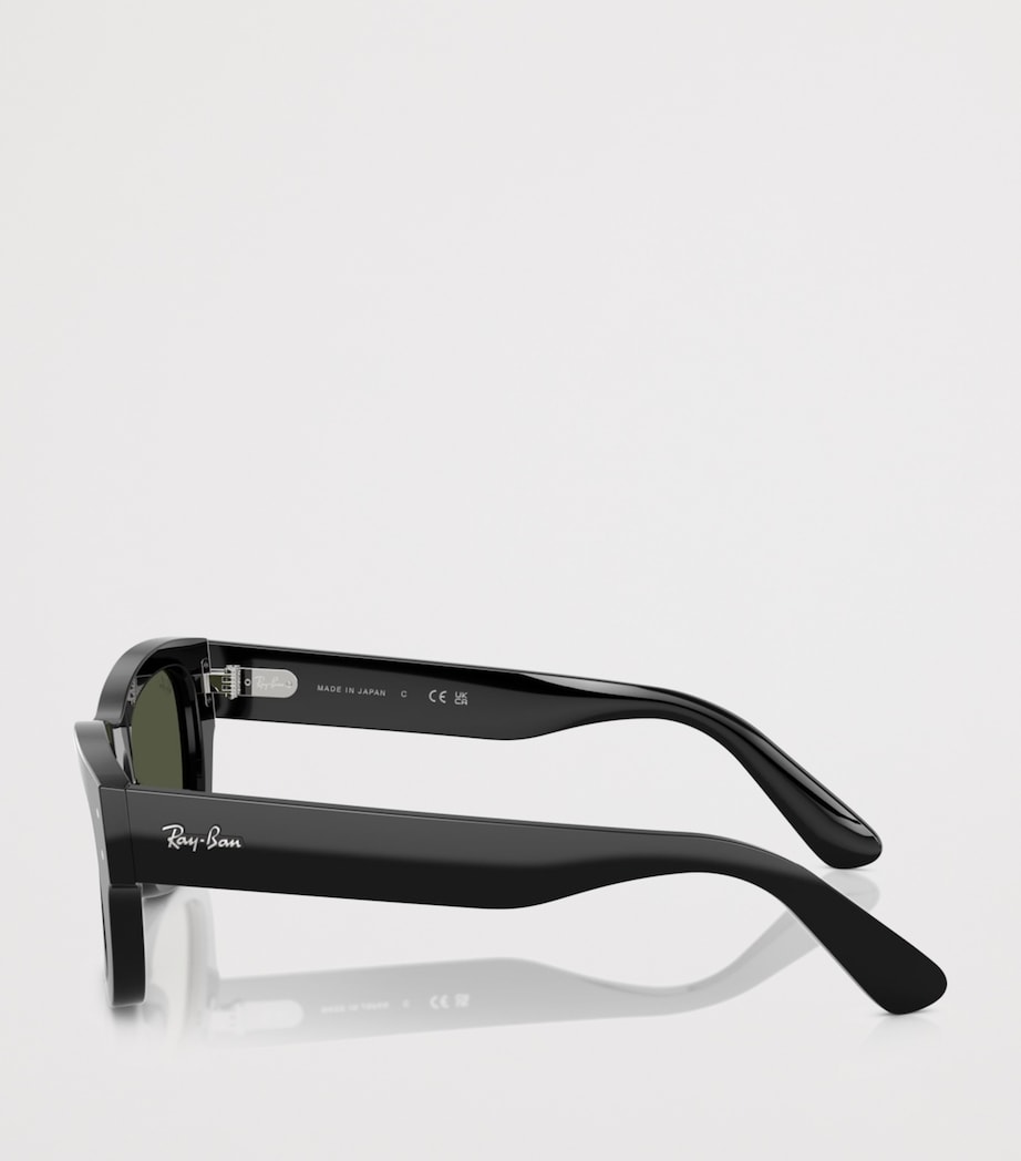 Ray-Ban acetate Joseph sunglasses (British brand)