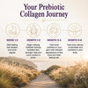Inner Vitality Prebiotic Collagen Powder unflavoured 30 servings - British product